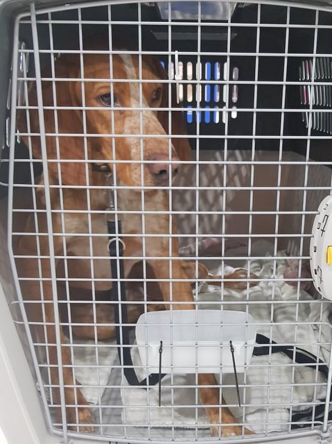 1 51785986 243498596575111 7135603805957128192 n