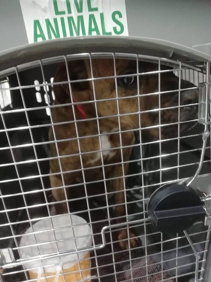 49707226 141604543391466 1927830881519534080 n