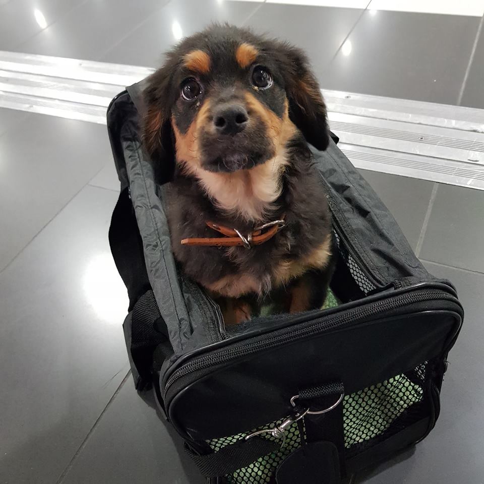 49898536 518592118634922 5403057511064403968 n