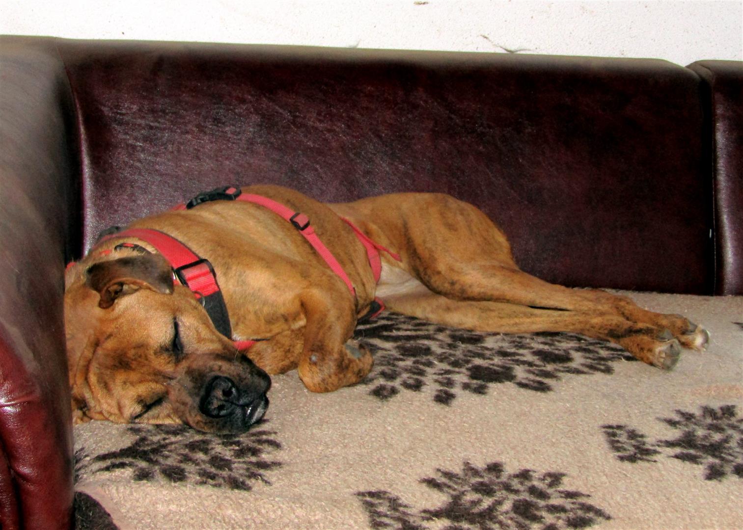 PHOTO 2019 01 13 10 24 59