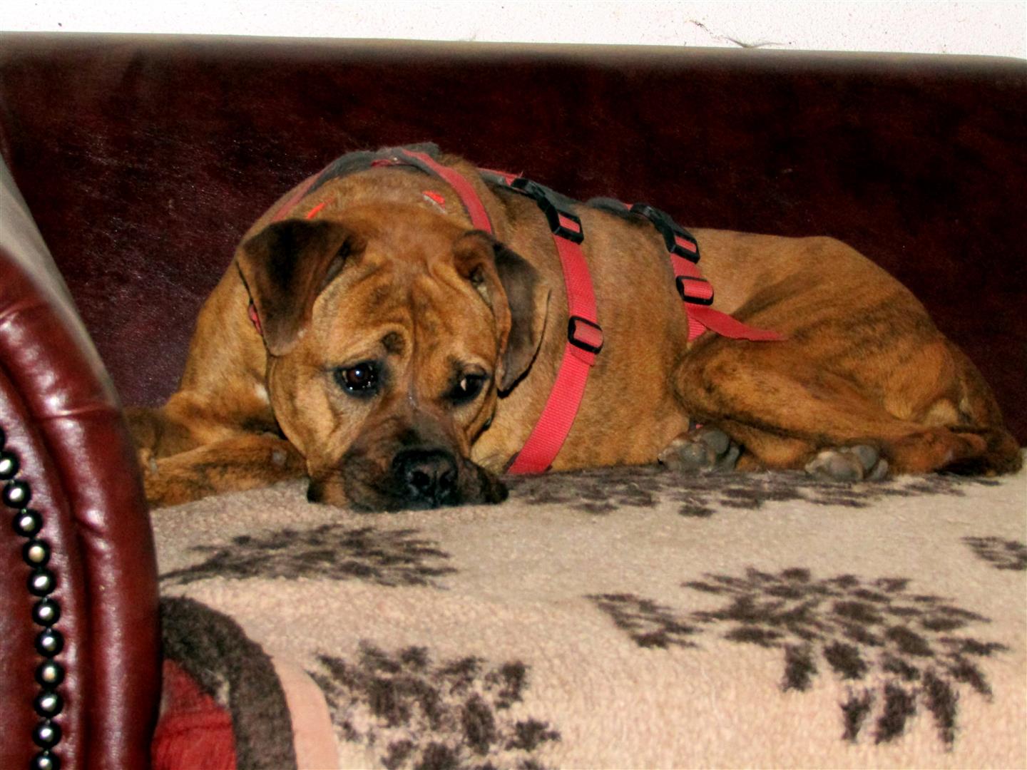 PHOTO 2019 01 13 10 25 06