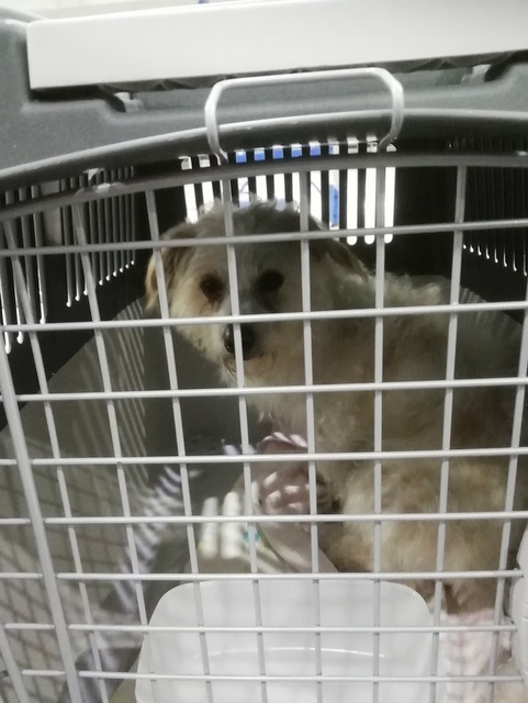 1 IMG 20190118 033246