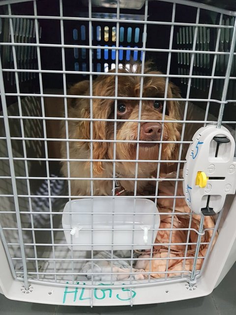 1 52543454 383677682421068 9038157490679709696 n