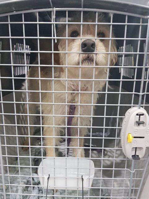 1 52586417 152996882274268 7150910519644258304 n