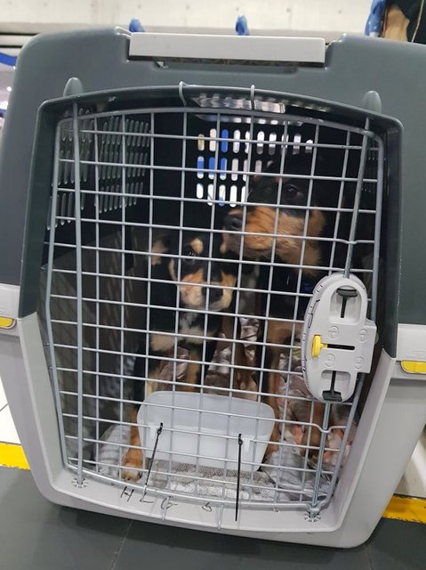 1 52602015 777709919257736 3952819154544754688 n