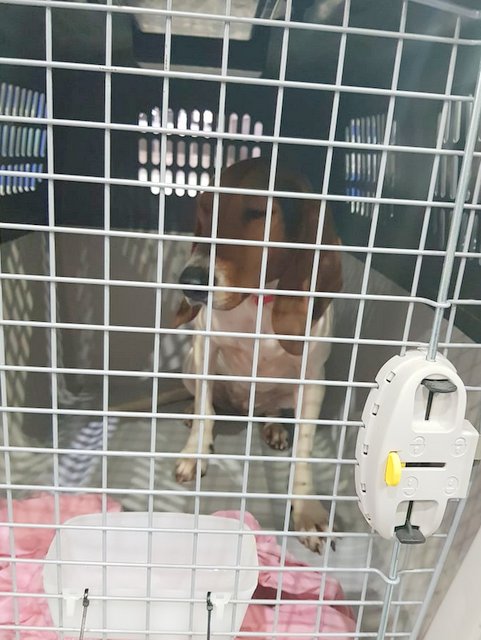 1 52682036 1883348411775562 478805900505645056 n