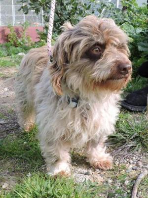 thumb Luke Photo 6 Jan 2019