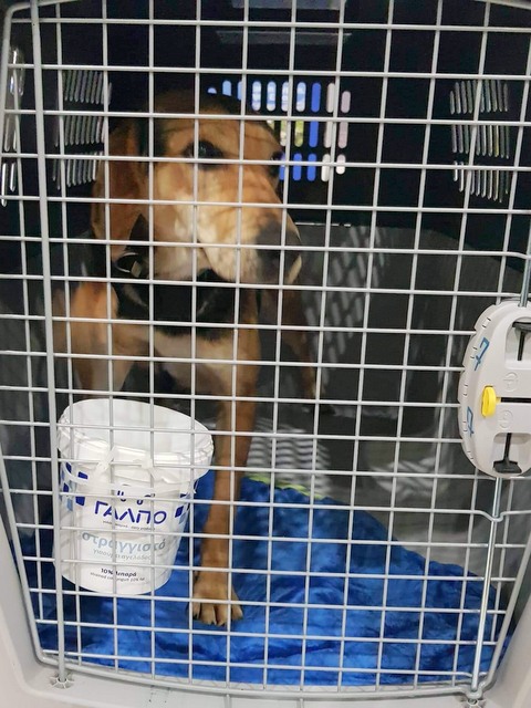 1 cid 168830fc43d75c4052d1