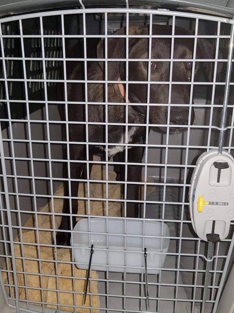 1 cid 168830fe396ad37dd2b3