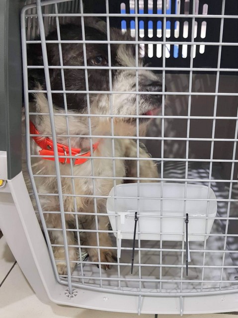 1 cid 1688310233a48f1c92a4