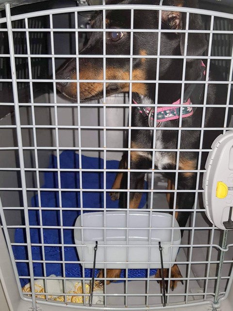 1 cid 1688310829ee4abb5295