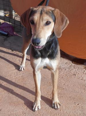 thumb Sally 4 neu Susi3