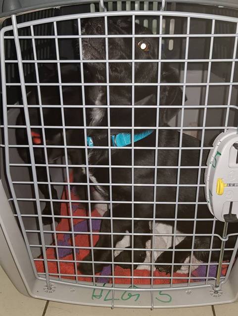 1 50596804 771147799932385 5568264935638564864 n