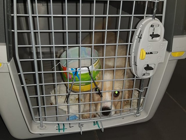 1 52874850 248785816067002 4867479448645009408 n