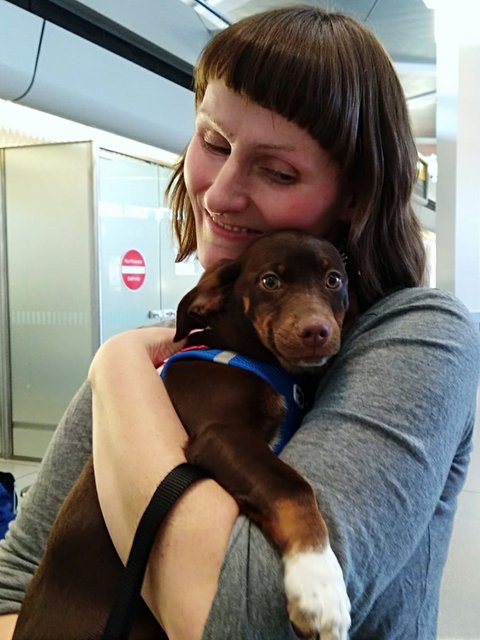 1 5PHOTO 2019 02 24 19 44 46