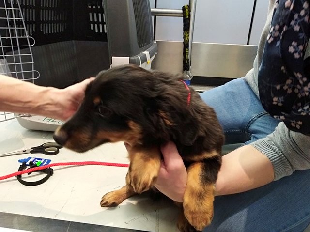 1 PHOTO 2019 02 24 19 44 44