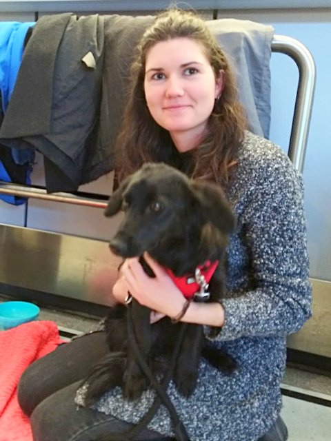 1 PHOTO 2019 02 24 19 44 45