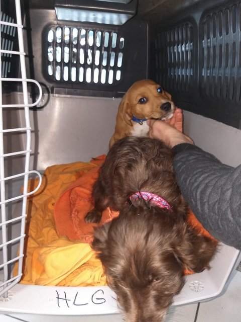 1 PHOTO 2019 02 18 14 54 10