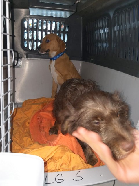 1 PHOTO 2019 02 18 14 54 21