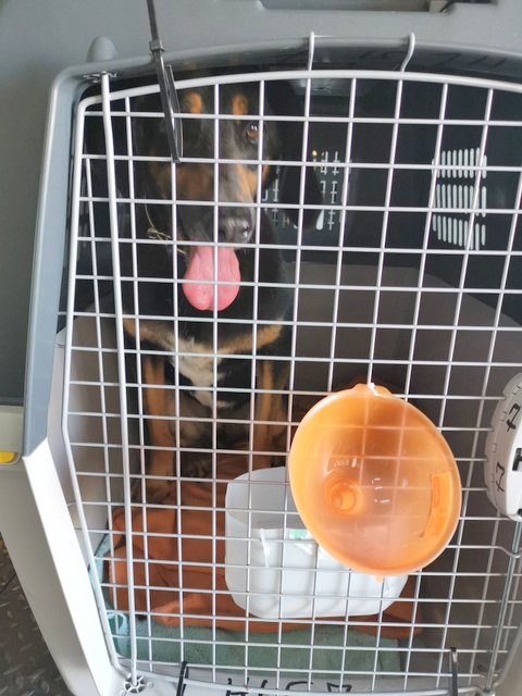 1 95613086 189738752062268 1478721467230191616 n