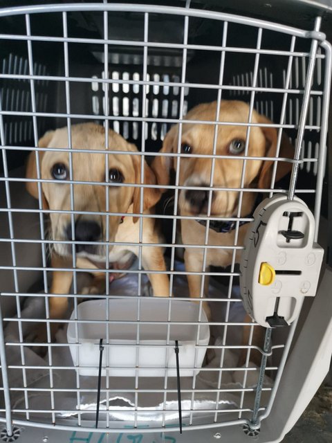 1 95714526 232733731284733 3756754241079738368 n