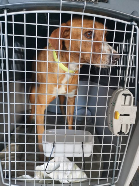 1 95715717 2618354988404856 1357945771390926848 n