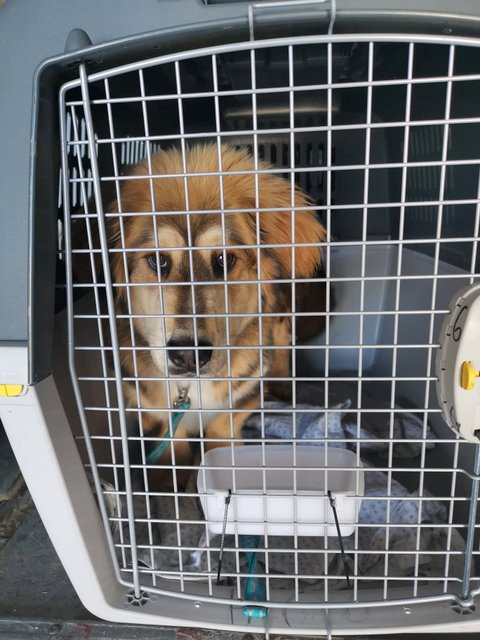 1 95778320 2255946151368170 7133885166203699200 n