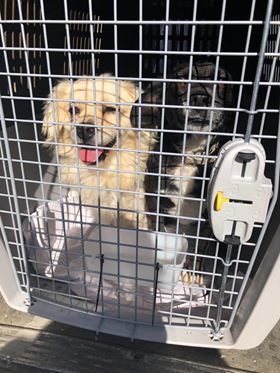 1 96504298 609636549637620 7042732001538867200 n