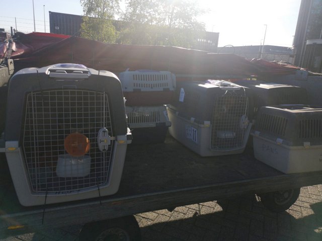 1 PHOTO7 2020 05 07 17 23 22