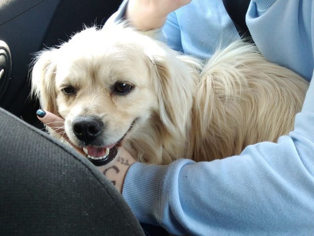 1 PHOTO 2020 05 08 07 15 43