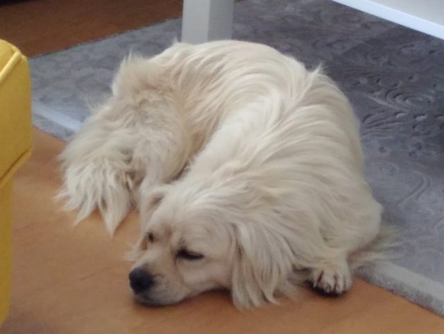 1 PHOTO 2020 05 08 07 15 52