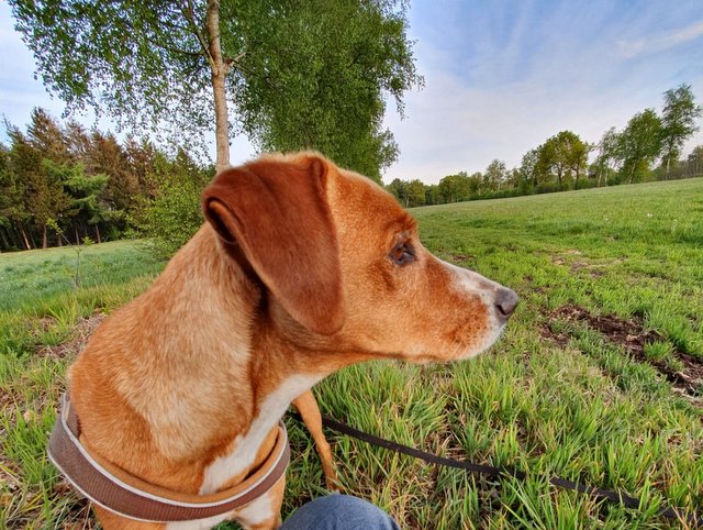 1 PHOTO 2020 05 08 07 17 12