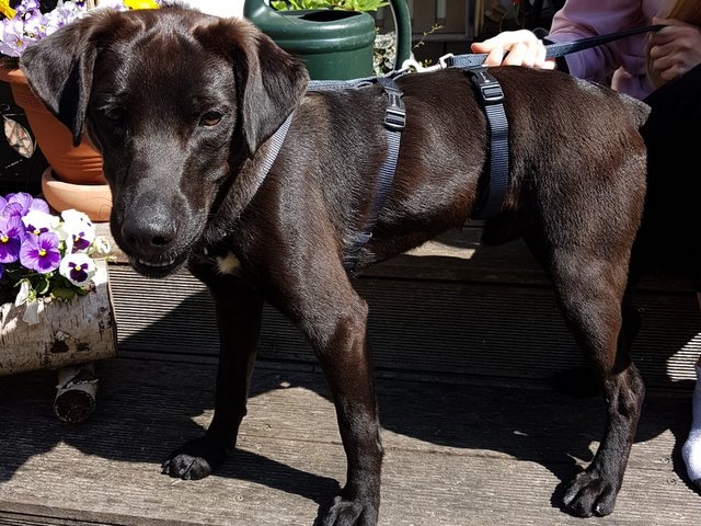 1 PHOTO 2020 05 08 07 18 01