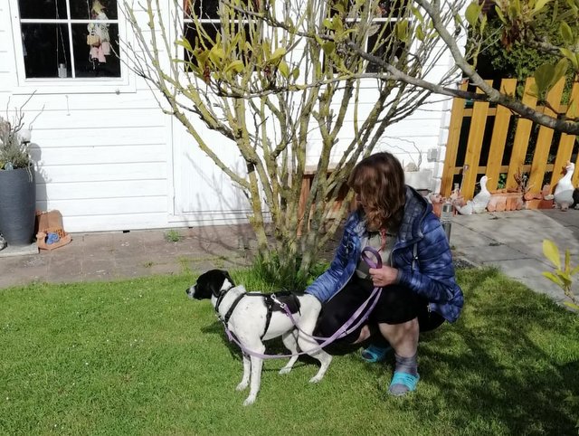 1 PHOTO 2020 05 08 07 18 23