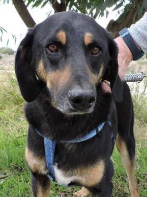 thumb Toby Photo 3 Mar 2020 002