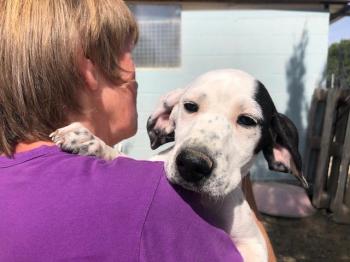 thumb 1 April photo 4 27 April 2020