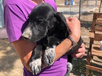 thumb 1 Kirk Photo 5 Apr 2020