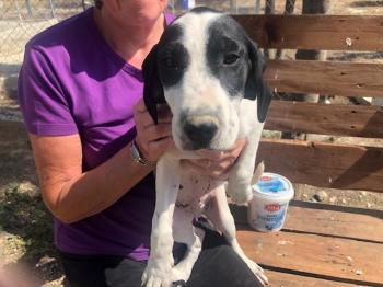 thumb 1 Marty Photo 7 April 2020