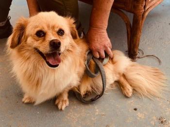 thumb Leon Photo 9 May 2020