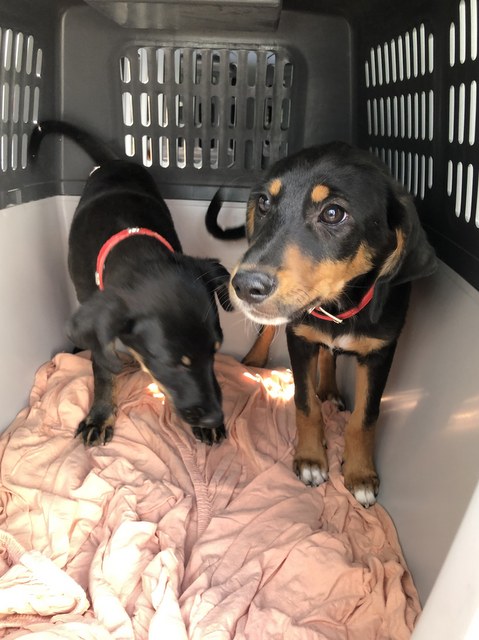 1 cid 17242b2d4215c851d591