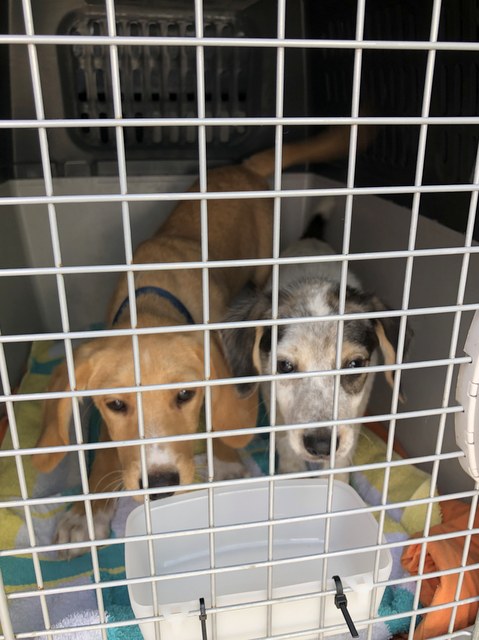 1 cid 17242b30f13dd08b05d2