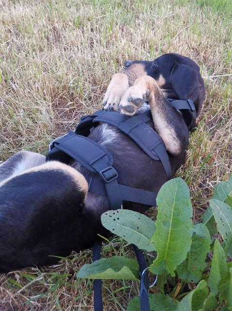 1 PHOTO 2020 05 23 21 24 59