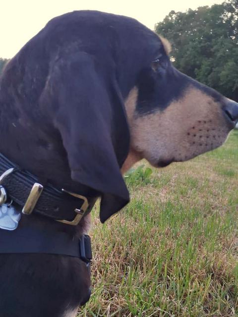 1 PHOTO 2020 05 23 21 25 04