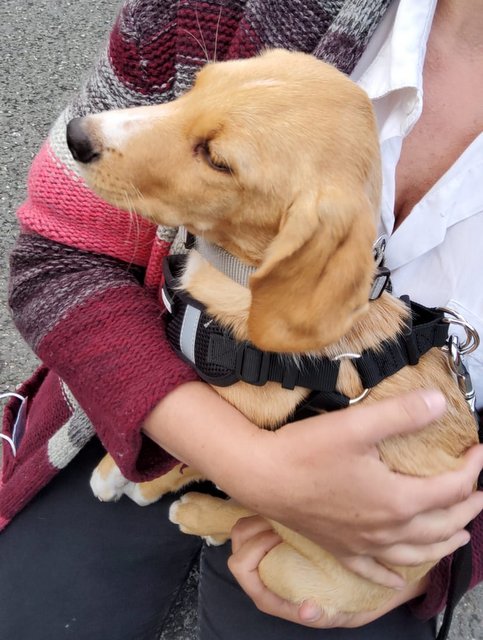 1 PHOTO 2020 05 24 18 04 14