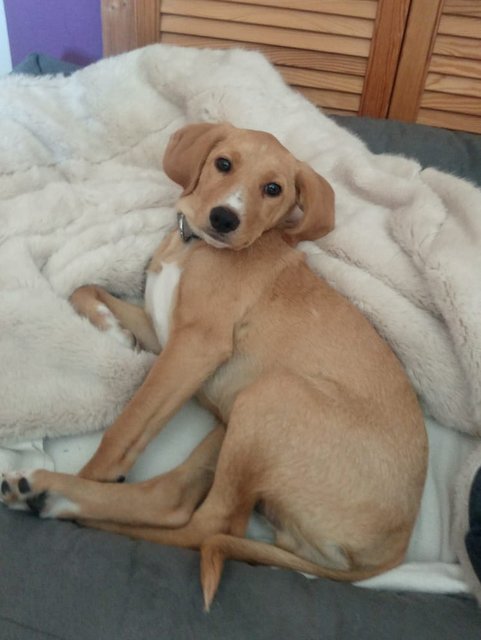 1 PHOTO 2020 05 24 18 04 30