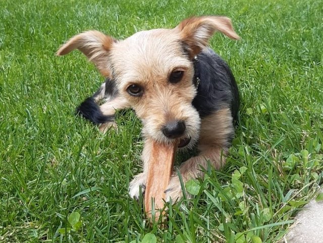 1 PHOTO 2020 05 24 18 06 37