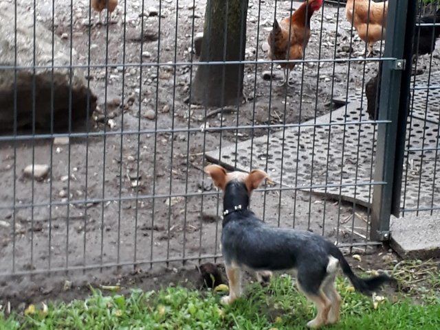 1 PHOTO 2020 05 24 18 06 58