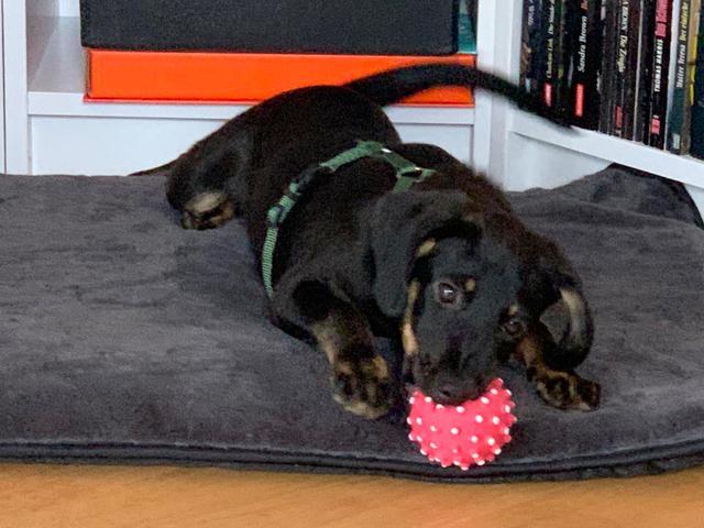 1 PHOTO 2020 05 24 18 07 51