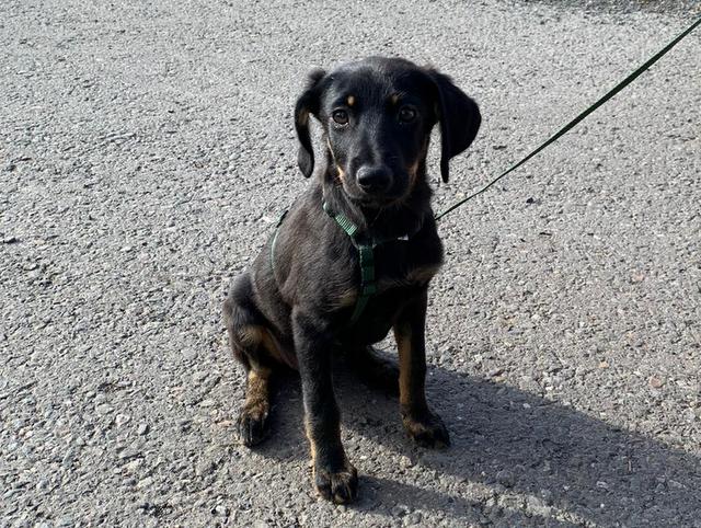 1 PHOTO 2020 05 24 18 08 04