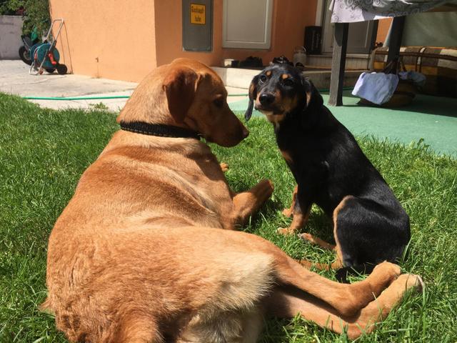 1 PHOTO 2020 05 24 18 09 40